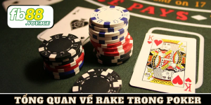 Rake Trong Poker - Bách Khoa Toàn Thư Về Rake Cho Tân Binh