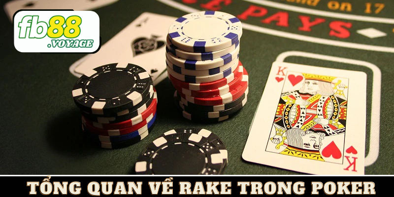 Rake Trong Poker - Bách Khoa Toàn Thư Về Rake Cho Tân Binh