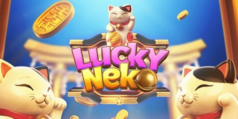 Kinh nghiệm chơi Neko May Mắn từ cao thủ