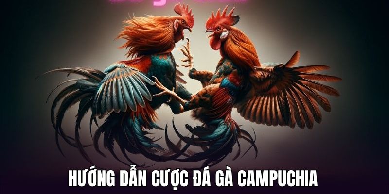 Bật mí cách cá cược đá gà đơn giản trong hệ thống FB88