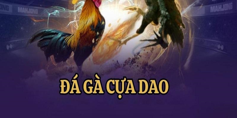 Đà gà cựa dao đa dạng cửa cược