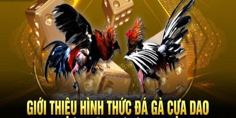 Sảnh cược mang đến nhiều trải nghiệm hấp dẫn