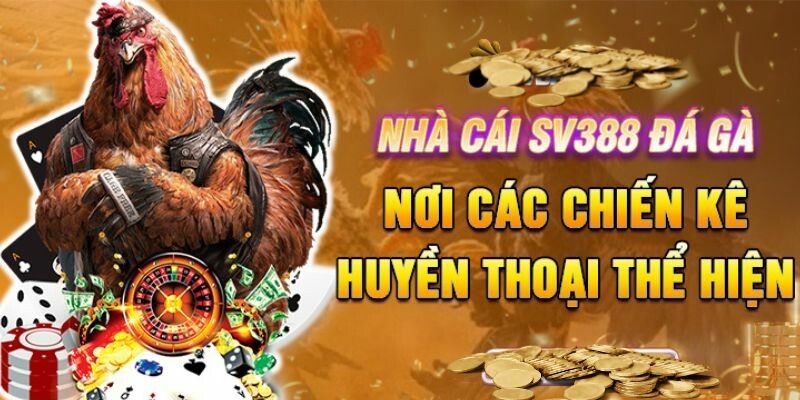 Chức năng livestream 4K rõ nét với công nghệ tiên tiến nhất 