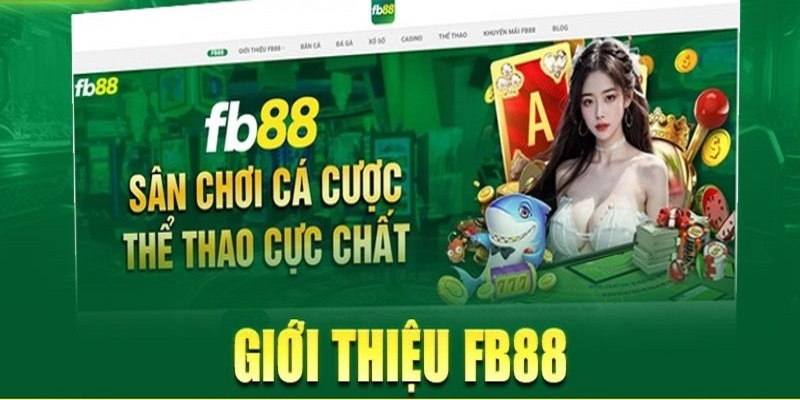 Tổng quan về chúng tôi FB88